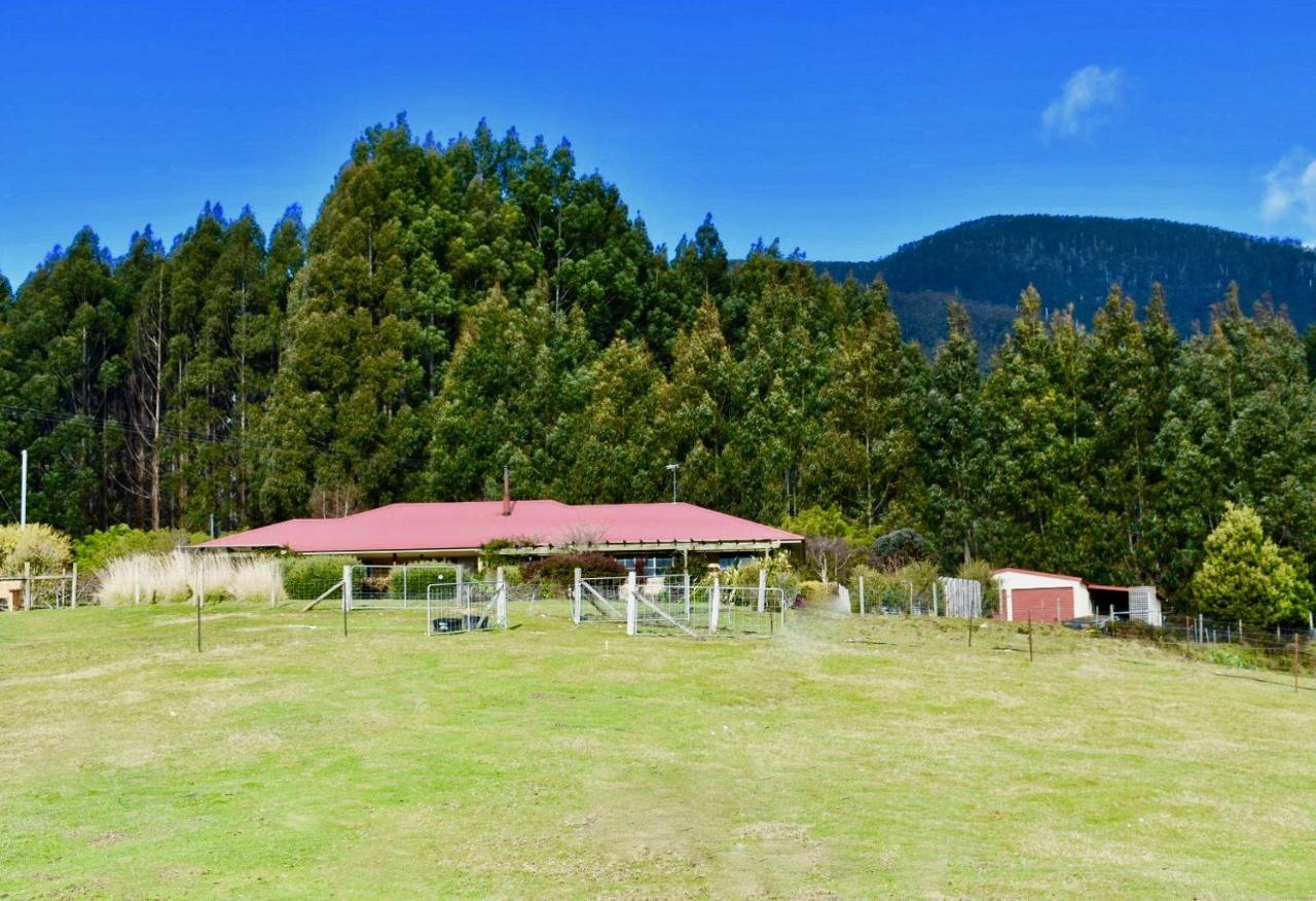Maydena Mountain Cabins Exteriör bild